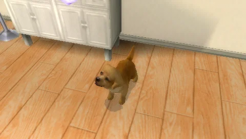 Petz: My Puppy Family thumbnail