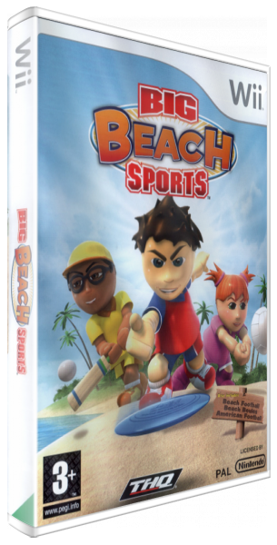Big Beach Sports