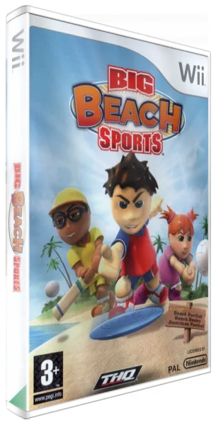 Big Beach Sports