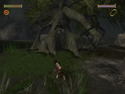 Lord Of The Rings: The Fellowship Of The Ring (DVD Case) thumbnail