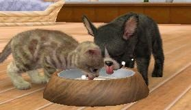 Nintendogs + Cats: Golden Retriever & New Friends [Cart Only] thumbnail